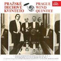 Wind Quintet No. 2: IV. Finale - Prague Wind Quintet