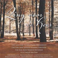 Heer, blijf bij ons - Chr. Gem. Koor 'De Slagsingers' & Chr. Gem. Koor 'Lovende Stemmen' & Chr. Gem. Koor 'Debarim' & Vincent van Dam & Martin Mans