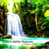 Hang drum new age con i suoni della natura per rilassamento - Musica Rilassante Relax