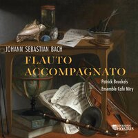 Sonate en Mi Mineur, BWV 1034: IV. Allegro - Patrick Beuckels & Ensemble Café Miry & Johann Sebastian Bach