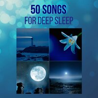 Buddhist Zen Meditation Music (Zen Track) - Isleepers