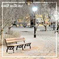 Calming Trip Around the City After Snowstorm, Pt. 5 - Daniel Dodik