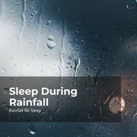Catnap in Pelting Rain - Rainfall For Sleep & Rain Man Sounds & Rain Shower