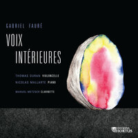 Sonate pour violoncelle et piano en Sol Mineur, Op. 117: III. Allegro vivo - Thomas Duran & Nicolas Mallarte & Габриэль Форе