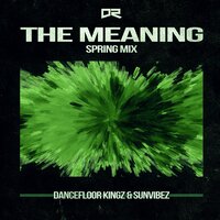 The Meaning - Dancefloor Kingz & Sunvibez