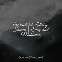 Body Connection - Deep Relaxation Meditation Academy & Guided Meditation Music Zone & Ambient Forest