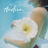 Belahan Jantungku - Andien & Budapest Scoring Orchestra