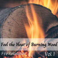 Set My World On Fire - Fireplace FX Studio & Sleep Meditation & Calming Music For Pets