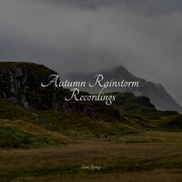 All Day Rain - Rainforest & Sound Sleeping & Nature & Sounds Backgrounds