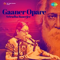 Tumi To Sei Jabei Chole - Sriradha Banerjee