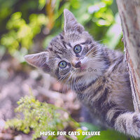 Comforting (Kittens) - Music for Cats Deluxe