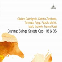 String Sextet No. 1 in B-Flat Major, Op. 18: III. Scherzo. Allegro molto - Mario Brunello & Franco Rossi & Fabrizio Merlini & Tommaso Poggi & Stefano Zanchetta & Guiliano Carmignola & Иоганнес Брамс