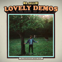 Busy - Mr. Gallini