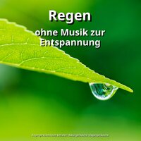 Entspannung - Regengeräusche zum Schlafen & Naturgeräusche & Regengeräusche