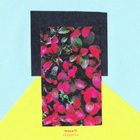 Night Bump - Mujo
