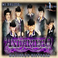Gracias por Llamarme Ahora - Andariego