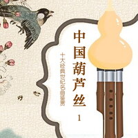 多情的巴乌 - 新时代乐团