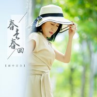 春去春回 - 雨中百合