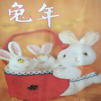 欢乐年年 - 王强 & 彭萍
