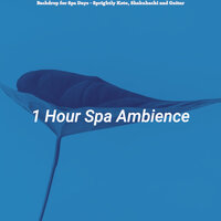 Sprightly Backdrops for Wellness Treatments - 1 Hour Spa Ambience