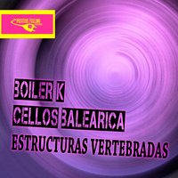 Estructuras Vertebradas - Boiler K