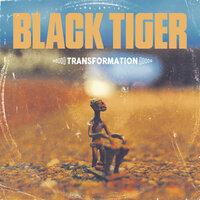 Rocky Mountains - Black Tiger