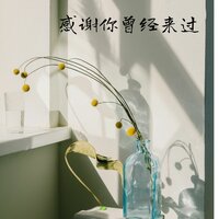 放纵 - 幻境音乐厂