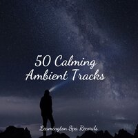 Deep Breathing - Nature Sounds Radio & Sleep Waves & meditacou musica ambiente