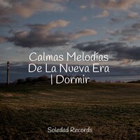 Respirar - Música de la Naturaleza & Lluvia & Massagem