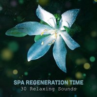 Cure for Insomnia - Unforgettable Paradise SPA Music Academy