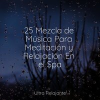 Pulso Espiritual - Musica para Dormir Dream House & Especialistas de Musica para Dormir & meditación Interna