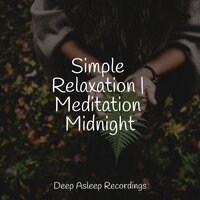 Winter Stillness - Zen Music Garden & Yoga & Musica Reiki