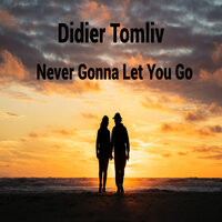 Never Gonna Let You Go - Didier Tomliv