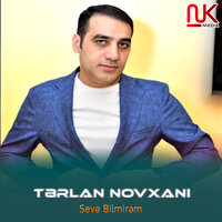 Sevə Bilmirəm - Tərlan Novxanı