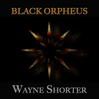 The Albatross - Wayne Shorter