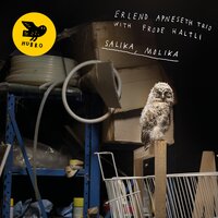 Kirkegangar - Erlend Apneseth Trio & Frode Haltli & Erlend Apneseth & Stephan Meidell & Øyvind Hegg-Lunde