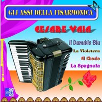 Sole d'oro - Gli Assi Della Fisarmonica
