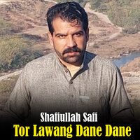 Tor Lawang Dane Dane - Shafiullah Safi