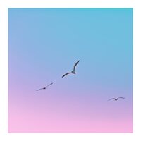 Don't Sweat It - Relaxation Détente & Musique Relaxante & Musique Zen