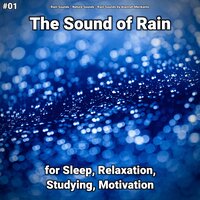 Rain to Calm Down - Rain Sounds & Nature Sounds & Rain Sounds by Alannah Merikanto