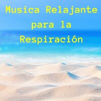 Ven Conmigo - Bienestar Maestro