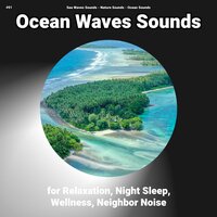 Ocean Waves Sounds for Relaxation Pt. 39 - Nature Sounds & Ocean Sounds & Sea Waves Sounds