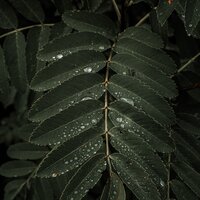 Need You More - Life Sounds Nature & Amazing Spa Music & Relaxamento