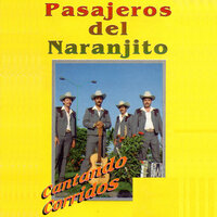 Manuel Vizcarra - Los Pasajeros del Naranjito