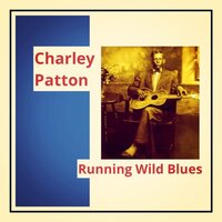 Bird Nest Bound - Charlie Patton