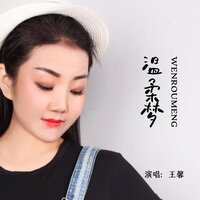 温柔梦 - 王馨