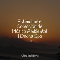 Hojas Caídas - Naturaleza Relajacion & Meditacion & Musica relajante
