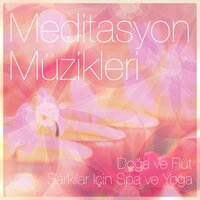 Zencefil ve Tarçın - Müzik için Spa