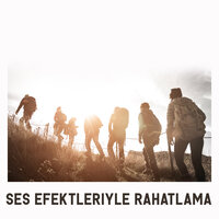 Buzdolabı Gürültüsü - Gevşeme Meditasyon Akademisi