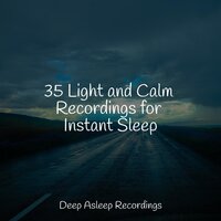 Wandering Souls - ZEN & Música de la Naturaleza & Healing Sounds for Deep Sleep and Relaxation